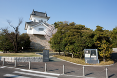 img_371241_6.png