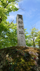 img_371241_8.png