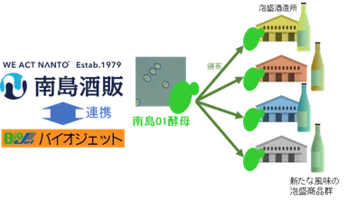 複数酒造所での泡盛開発への活用