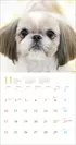 気まぐれ鼻ペチャ犬カレンダー4