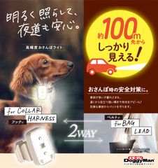 高輝度おさんぽライト(1)