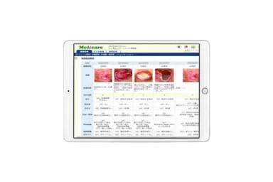 褥瘡経過管理画面