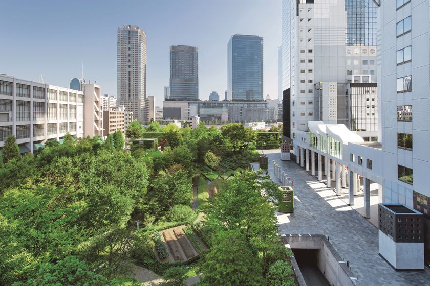 積水ハウス他3社の企業緑地「新・里山」、
環境省「自然共生サイト」の認定評価を取得