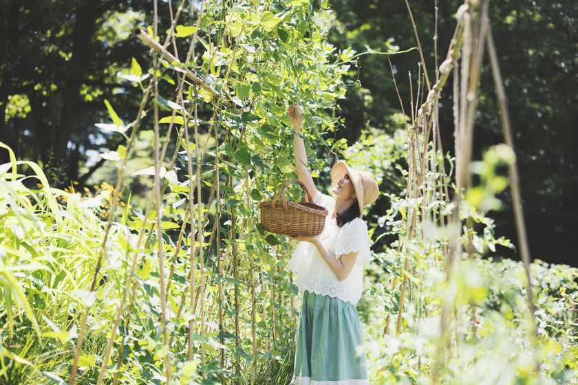 Noope様　決算専用　地球のくらし　本セット　パーマカルチャー Noope様 決算専用 地球のくらし 本セット パーマカルチャー 本