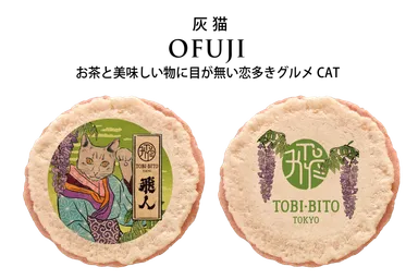 商品画像「灰猫 OFUJI」