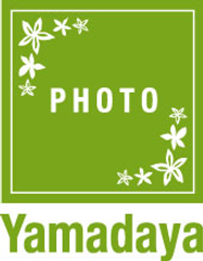 株式会社山田屋写真用品