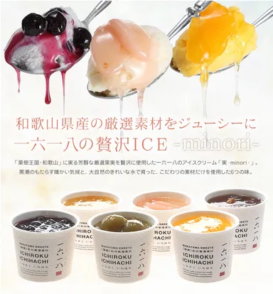 和歌山ICE ～実～