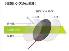 img_372546_7.jpg