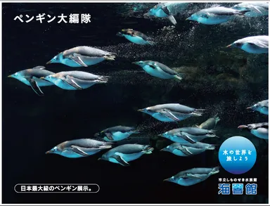 ペンギン大編隊(1)