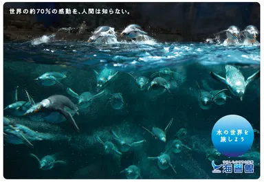 ペンギン大編隊(2)