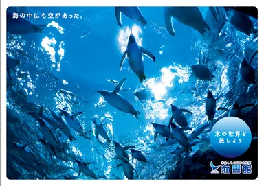 下関市立しものせき水族館・海響館(かいきょうかん)、 日本最大級の 下関市立しものせき水族館・海響館(かいきょうかん)、 日本最大級の