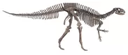 フクイサウルス （前期白亜紀）