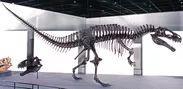 アクロカントサウルス・アトケンシス（前期白亜紀）