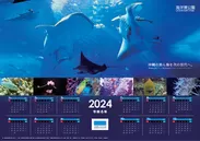 2024年沖縄美ら海水族館オリジナル・ポスターカレンダー