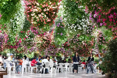 花のシャンデリア