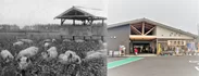 左：かつての末廣農場(写真所蔵：橘家)　右：観光・交流拠点末廣農場(写真所蔵：富里市)