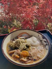 img_372900_4.jpeg