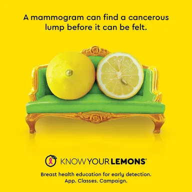 KNOWYOURLEMONS(1)