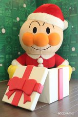 img_373118_6.jpg