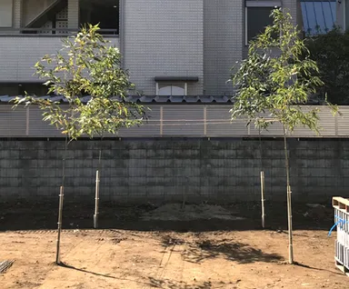 地鎮祭で四方に立てた笹竹