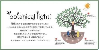 ボタニカルライト