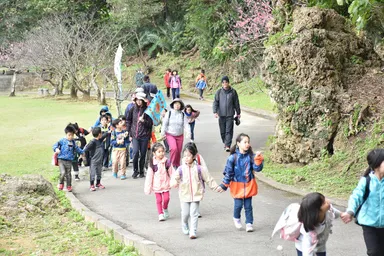 歩きながら桜も楽しめる