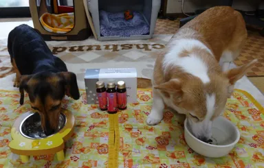 そのまま飲めるドリンクタイプ