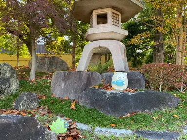 ※昨年の様子(1)