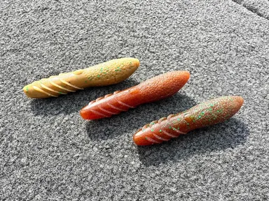 ＜デプス×天下一品＞カバースキャット3.5インチ