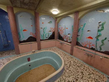 鳳明館　本館　龍宮風呂