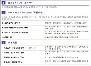 アウトプットイメージ「分析項目」