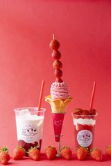 いちごBonBonBERRY伊豆の国factory 5周年祭