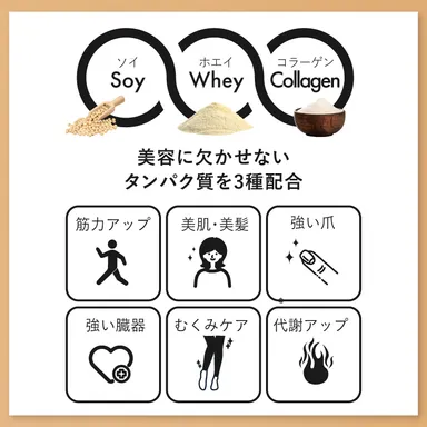 ネスタイル メイクビューティープロテイン_03