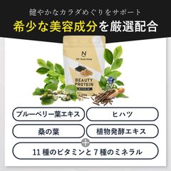 ネスタイル メイクビューティープロテイン_08