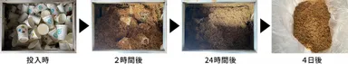 食品残渣発酵分解装置による堆肥化の様子　提供元：三菱ケミカルグループ