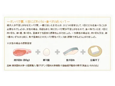 タンパク質摂取量情報