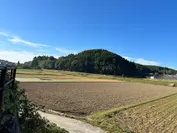 和水町の田園風景