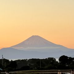 img_377496_7.jpg