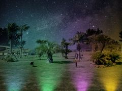 img_377496_8.jpg