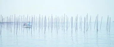 ブランドバナー(のりの種付け)