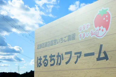 はるちかファーム看板