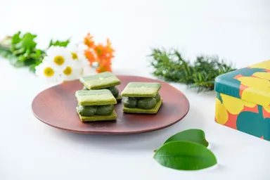 最高級抹茶を使用した抹茶生チョコサンドクッキー缶を新発売！