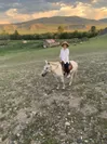 モンゴルの草原を馬で散歩する小野田