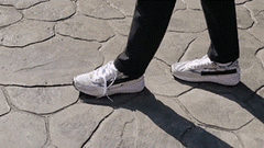 img_378330_3.gif