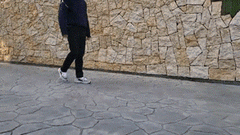img_378330_4.gif