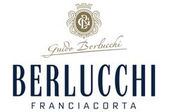 ベルルッキロゴ
