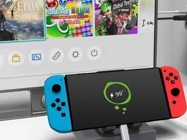 ゲーム機を大画面で利用可能