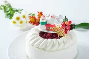 OIWAI CAKE(3)