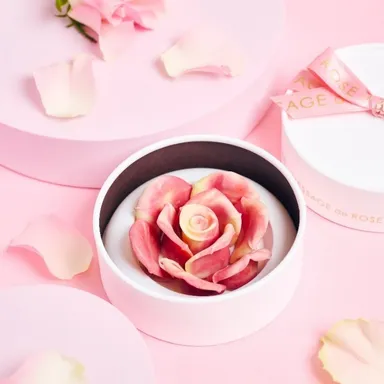 【季節限定商品】ペタル・アラベスク(1)