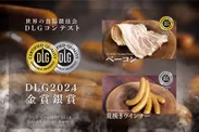 DLGコンテスト2024 受賞記念